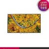 G 공식판매점 LG전자 LG 울트라HD TV 벽걸이형 75UR642S0NC (189cm)